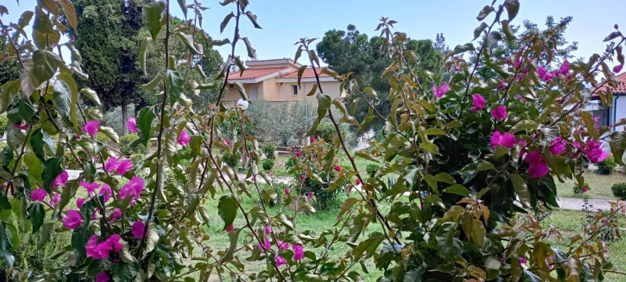 Apartamento Mari E Monti PalaiónTsiflíkion Exterior foto